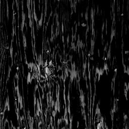 Texture