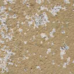 Texture