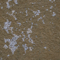 Texture