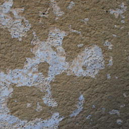 Texture